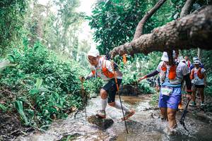 BIB: 
                            <button type="button" onclick="openModal(25374342)" class="btn btn-primary btn-sm float-right btn-popup" data-toggle="modal" data-target=".modal-high-quality">
                        <i class="fas fa-shopping-cart"></i> Add to Cart
                    </button>
                                            <button type="button" onclick="isThisMe(25374342, true)" class="btn btn-success btn-sm float-right btn-popup btn-isme hidden" data-toggle="tooltip" data-placement="bottom" title="นี่คือรูปของคุณใช่ไหม คลิกที่นี่เพื่อเอาเข้าอัลบั้ม">
                        <i class="fas fa-plus"></i> Add to album
                    </button>
                    <button type="button" onclick="isThisMe(25374342, false)" class="btn btn-warning btn-sm float-right btn-popup btn-isnotme hidden">
                        <i class="fas fa-ban"></i> Remove from album
                    </button>